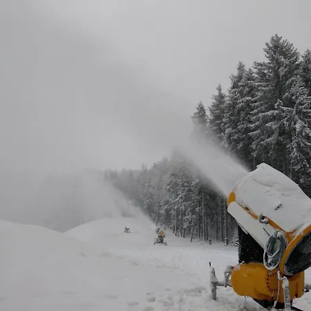 Apartman Friedrichsruh * Mariánské Lázně