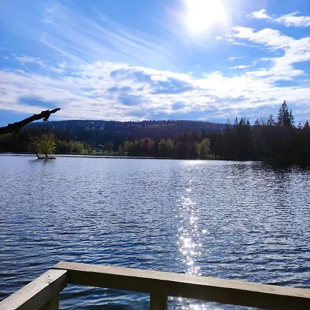 Apartman Apartman Friedrichsruh Mariánské Lázně