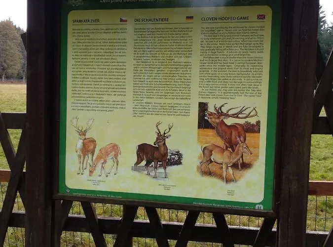 Apartman Friedrichsruh Апартаменты Марианске-Лазне