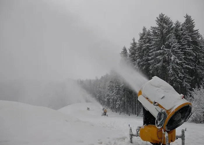 Apartman Friedrichsruh * Марианске-Лазне