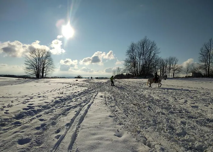 Apartman Friedrichsruh *