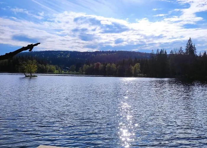 Апартаменты Apartman Friedrichsruh Марианске-Лазне