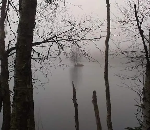 Apartman Friedrichsruh Апартаменты